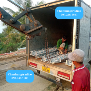 Khe co giãn cầu