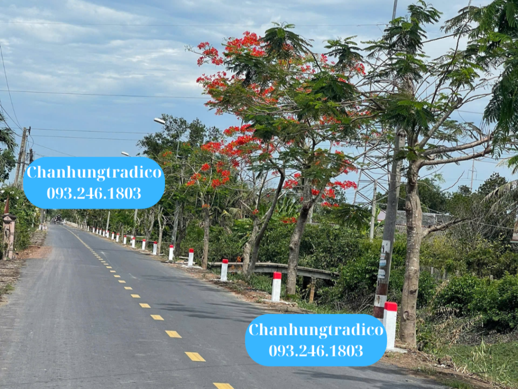 Thi công trồng cọc tiêu bê tông và sơn trắng đỏ - Mai Chấn Hưng - 093.246.1803 Thi công trồng cọc tiêu bê tông và sơn trắng đỏ - Mai Chấn Hưng - 093.246.1803