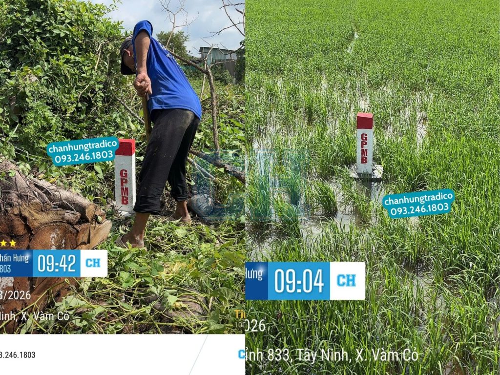 Thi công cọc GPMB